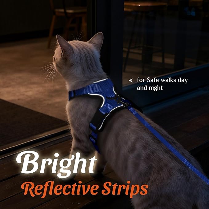 Dooradar Cat Harness and Leash Set, Escape Proof Safe Adjustable Kitten Vest Harnesses for Walking, Easy Control Soft Breathable Mesh Jacket with Reflective Strips for Cats, Blue, XS