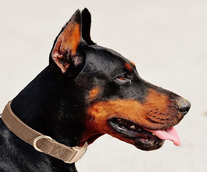 Soft Cotton Dog Collar with Metal Buckle Adjustable Heavy Duty Comfy Corduroy Collars for Small Medium Large Dogs,Brown,Small