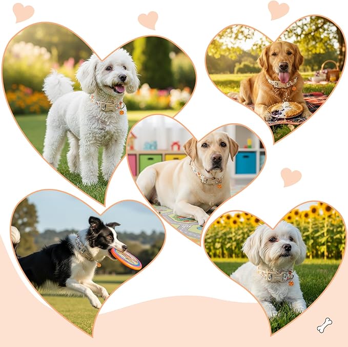 Halloween Dog Collars, Fall Dog Collar for Dogs, Fun Multi-Color Pumpkin Dog Collars for Small Dogs, Adjustable Cotton Small Dog Collar Puppy Collar for Halloween & Thanksgiving