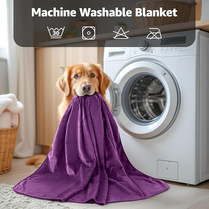 LOOBANI Waterproof Blanket for Bed: Reversible Soft Flannel Queen Bed Blanket 80" x 90", Waterproof Dog Blankets for Large Dogs, Spill-Proof Cover for Furniture Protection, Movie Time, Purple
