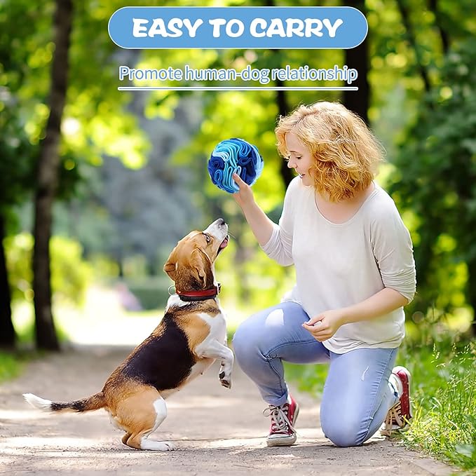2 Packs Snuffle Ball for Dogs Stress Relief Interactive Dog Enrichment Toys Dog Sniff Mat Pet Snuffle Ball Toy Foraging Mat Dogs Treat Ball Pad Dog Puzzle Toys for Anxiety Relief Enhance Sniffing