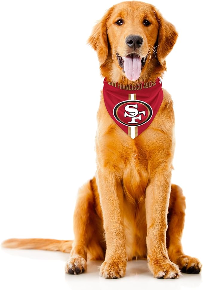 Littlearth NFL Denver Broncos Pet Bandana