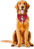 Littlearth NFL Denver Broncos Pet Bandana