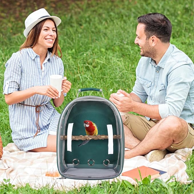 Bird Carrier Backpack, Bird Travel Carrier with Standing Perch, Lightweight Breathable Parrot Cage for Small Birds, Green Cheek, Cockatiel, Parrot