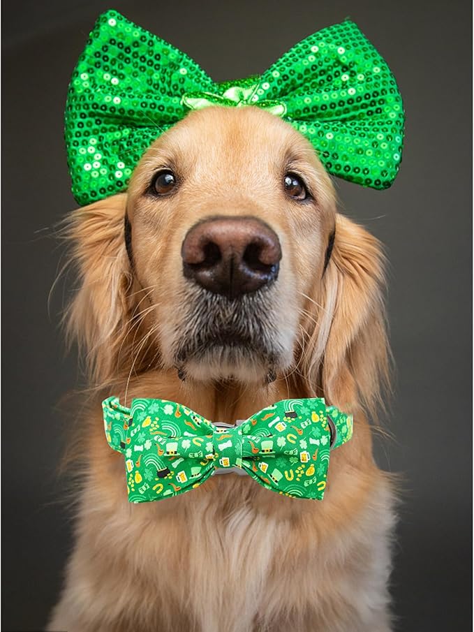 Lionheart glory Dog Bow Collar St. Patrick's Day Dog Collar for Medium Dogs, Adjustable Green Collars Lucky Clover Shamrock Dog Collar with Bowtie Pet Collar Bows