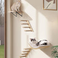 Cat Wall Stairs and Wall Shelves, 4 Piece Wood Cats Furniture Set, Padded Curved Bed with Foam, Flat Shelf & Climbing 4 Steps Stairs for Large Indoor Cats