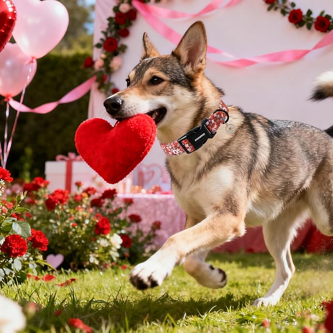 DOGWONG Red Flower Dog Collar, Cute Adjustable Floral Collar, Girl Female Dog Collar with Strong Plastic Buckle for Small Medium Large Dog.M