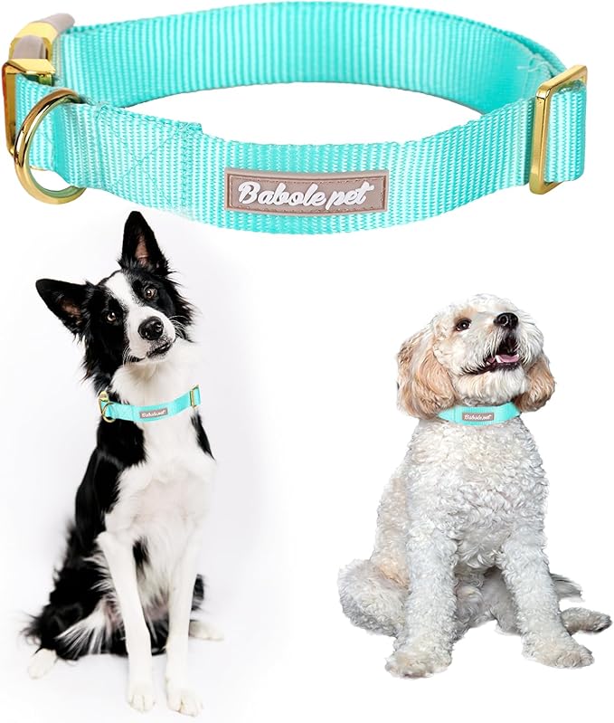 Nylon Dog Collar - Adjustable Lake Blue Soft Webbing Dog Collars for Small Medium Large Dogs Boy Girl Puppy Collar with Safety Metal Buckle S