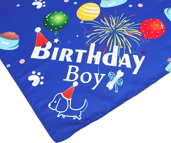 ADOGGYGO Dog Bandana Hat Set for Birthday Party Supply, Boy Girl Pet Birthday Scarf for Medium Large Dog (Large, Blue)