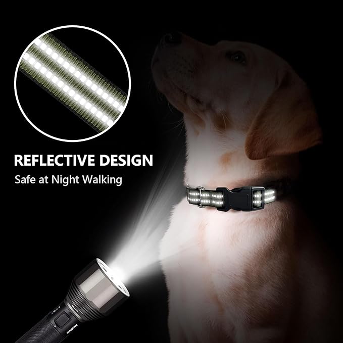 Martingale Dog Collar, Adjustable Nylon Reflective Collar with Quick Release Buckle (Forest Green, Small)