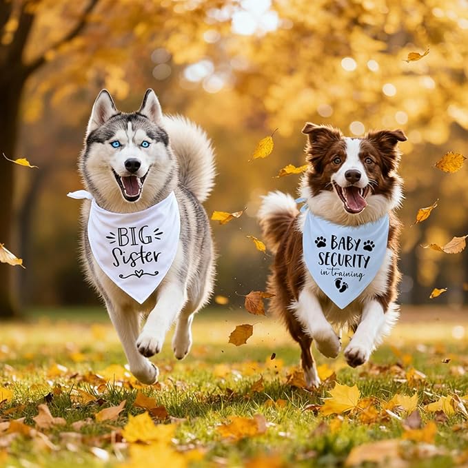 Big Sister&Baby Security in Training Dog Bandana, Dog Bandanas for Dogs Pet Accessories for Dogs Lovers Pregnancy Reveal Ideas, Soft Triangle Scarf for Small Medium Large Dogs (Big Brother Blue)