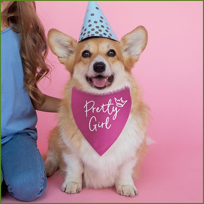 Pretty Girl Dog Bandana Funny Birthday Dog Bandana for Large Medium Small Cats Dogs Pink Puppy Girls Photo Prop Pet Scarf Accessories Christmas Puppy Girl Gifts