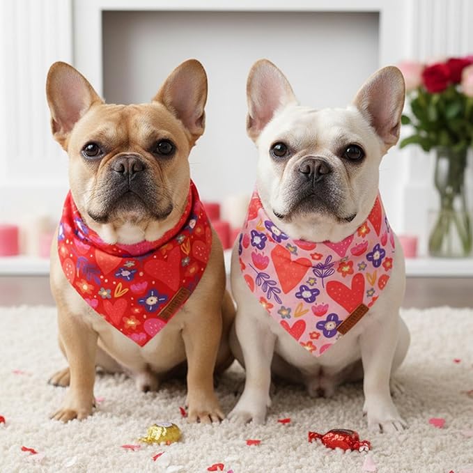 ADOGGYGO Valentines Dog Bandana 2 Pack, Heart and Floral Print Pet Scarf Bib, Adjustable Fit Red Pink Valentines Bandanas for Medium Large Dogs (Large)