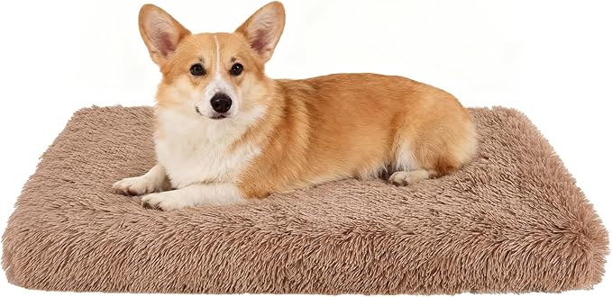 Fluffy Orthopedic Dog Beds for Medium Dogs with Washable Removable Cover Dog Crate Bed Egg Crate Foam Support Plush Pet Pad Mat with Anti-Slip Bottom(36 * 24,Khaki)
