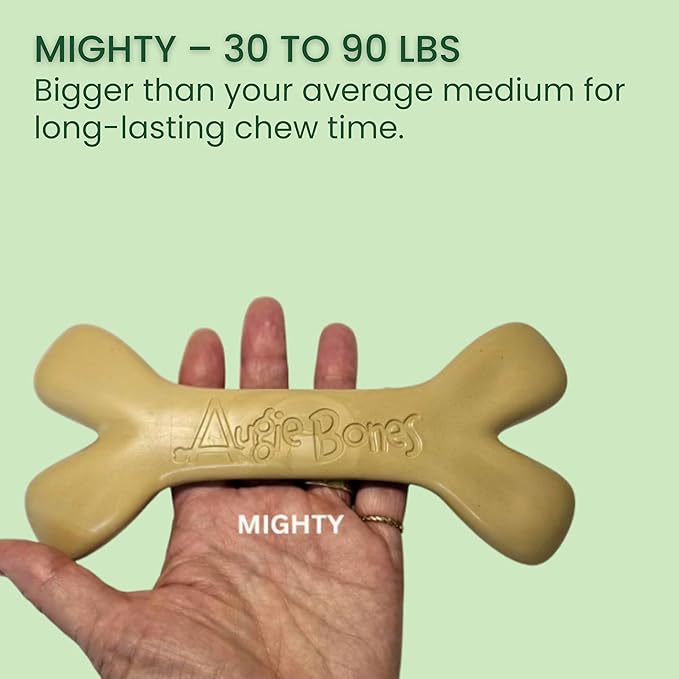 2-Pack Non-Toxic Dog Toys - Sustainable Roasted Peanut Butter Flavored Dog Chew Toys for Aggressive Chewers - Plant-Based Bioplastic Pet Toys - Made in The USA (Mighty)
