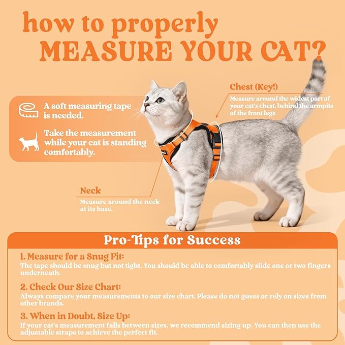 rabbitgoo Cat Harness and Leash for Walking, Escape Proof Soft Adjustable Vest Harnesses for Cats, Easy Control Breathable Reflective Strips Jacket, Orange, XXS