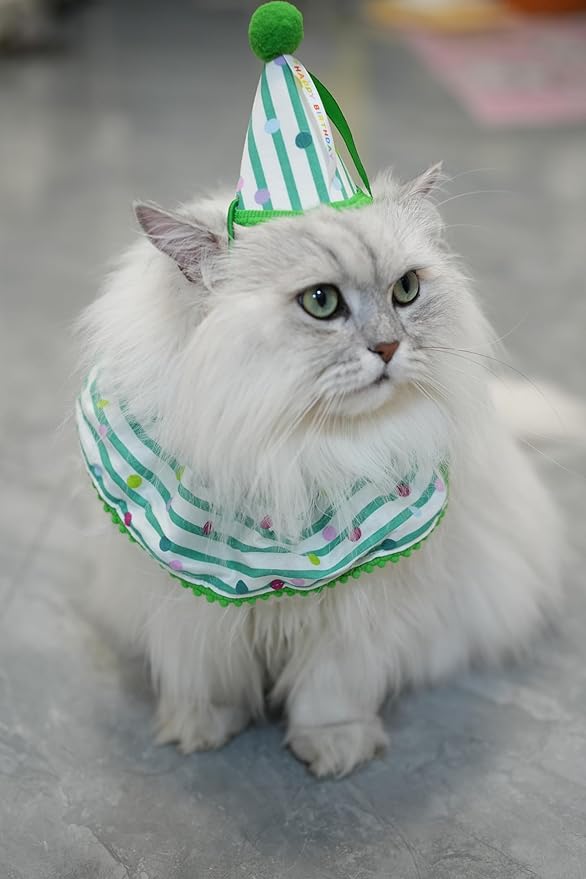 Cat Dog Birthday Bandana Scarf and Party Hat Cute Polka dot and Stripe Bib Scarf and Birthday Hat Cat Puppy Birthday Party Decorations Set