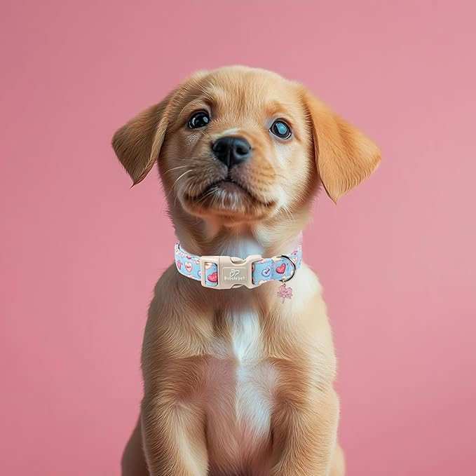 Valentines Dog Collar for Small Dogs - Valentine Candy Hearts Dog Collars, Love Boy Girl Dogs Collars, Lightweight Adjustable Cute Blue Puppy Collar with Quick-Release Buckle S