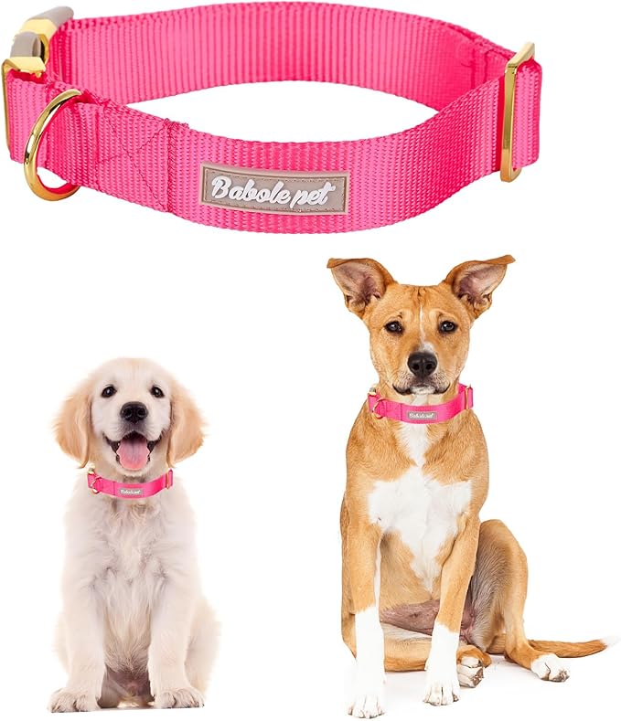 Nylon Dog Collar - Adjustable Rose Red Soft Webbing Dog Collars for Small Medium Large Dogs Boy Girl Puppy Collar with Safety Metal Buckle M
