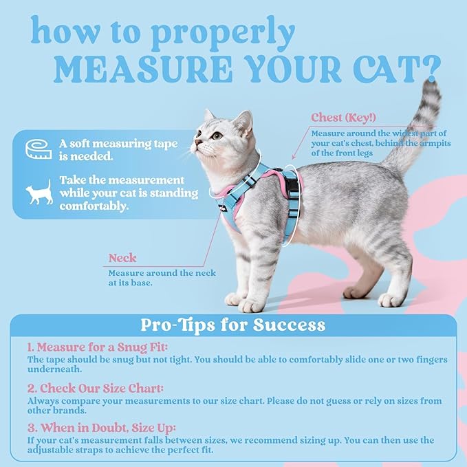 rabbitgoo Cat Harness and Leash for Walking, Escape Proof Soft Adjustable Vest Harnesses for Cats, Easy Control Breathable Reflective Strips Jacket, Light Blue&Pink, XXS