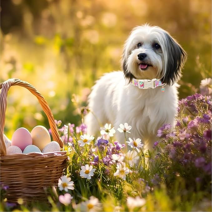 Easter Dog Collar for Medium Dogs - Colorful Bunny Print Easter Collar for Male Female Dogs, Lightweight Adjustable Spring Holiaday Dog Collars with Quick Release Buckle M