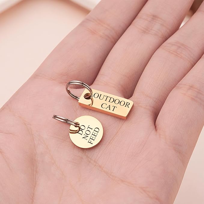 Anavia Small Size Dog Cat ID Tags, Small/XS Personalized Color Plated Stainless Steel Puppy Kitten Name Tags, Customized Engraved Nameplate Pet Collar Tag (Silver, XS-Round)