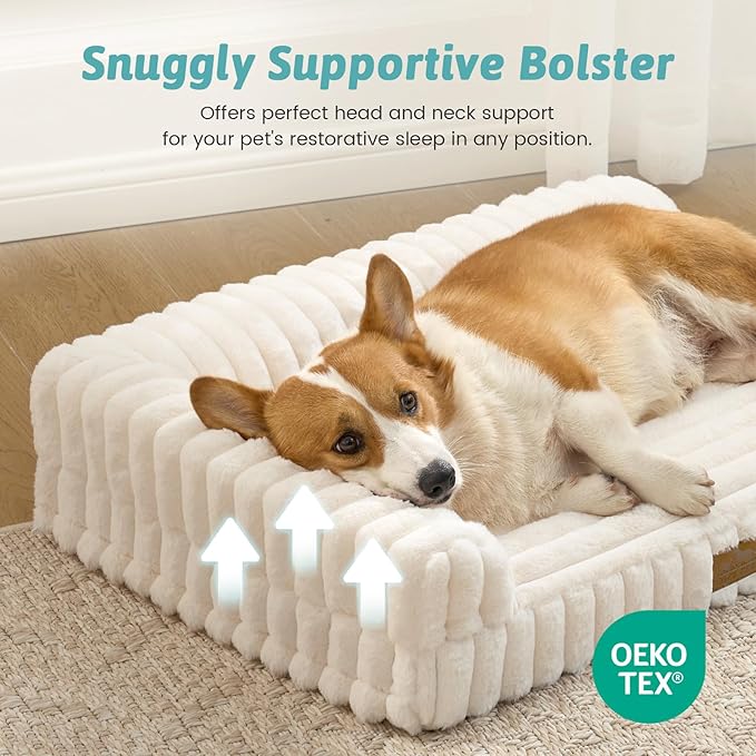 Cute Dog Bed, Faux Rabbit Fur Orthopedic Foam Dog Bed with Sides, Removable Washable Cover & Waterproof Lining, Comfortable Pet Couch for Small Dogs, Cream (30" L x 20" W x 6" Th)