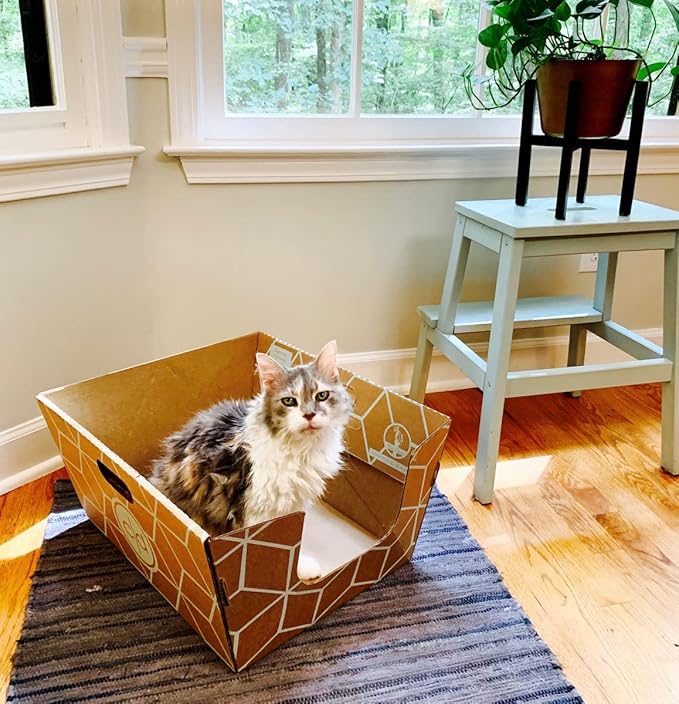 Cats Desire Disposable Litter Box No Plastic Solution (10 Tray) w/ Low Entry & Enclosed Box - Teal on Natural Brown, Made in USA Woman Owned, 19"L x 17"W x 8.5"H tray - 19"L x 17"W x 17"H enclosed box