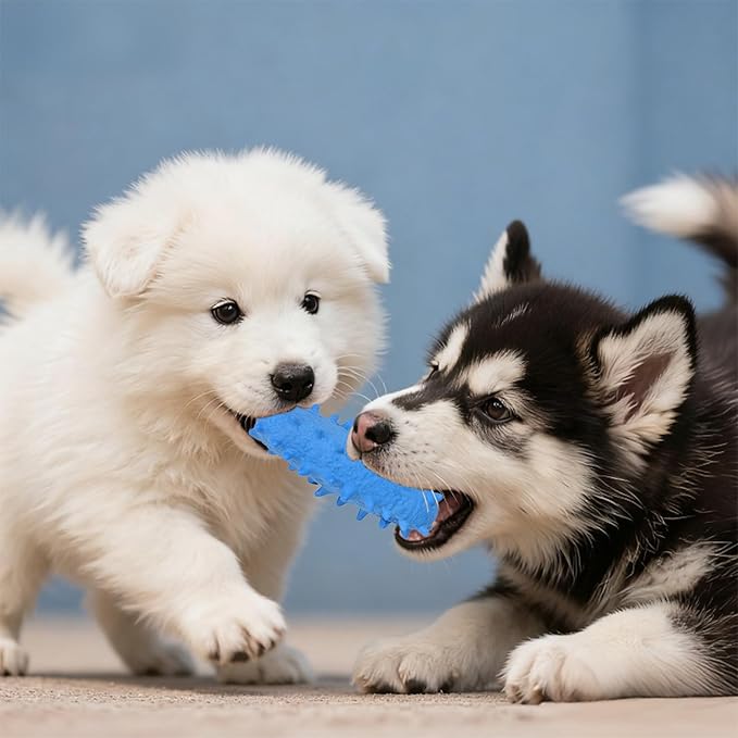 2 Pack Dog Toys for Aggressive Chewers, Tough Puppy Chew Toys Teething Bone for Puppies, Soft Foaming Rubber Interactive Toys for Small Medium Breed (Blue)
