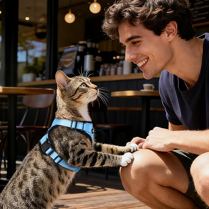 Dooradar Cat Harness and Leash Set, Escape Proof Safe Adjustable Kitten Vest Harnesses for Walking, Easy Control Soft Breathable Mesh Jacket with Reflective Strips for Cats,Light Blue, XS