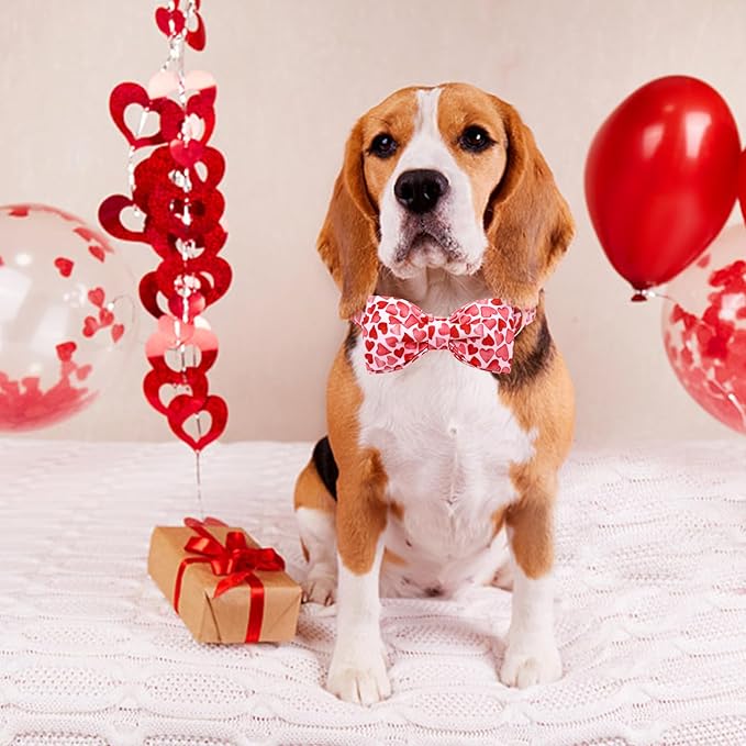 Lionheart glory Dog Collar with Bowtie Valentine's Day Dog Collar for Small Dogs, Hearts Pattern, Handmade Bow, Unique Design, Cotton Material, Adjustable Size, Perfect for Small Dogs