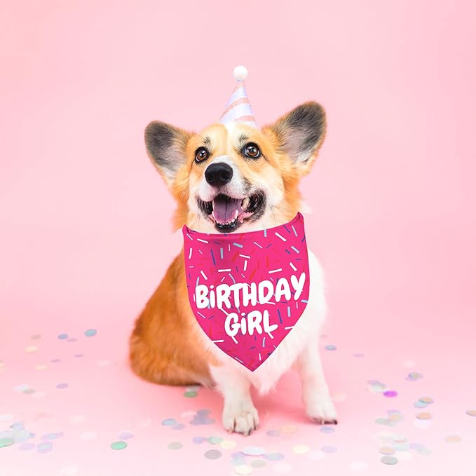 Birthday Girl Dog Bandanas 1 Pack, Pink Dog Scarfs for Puppy, Pet Scarves HBD Bandanas for Small Medium Large Dogs (Birthday Girl, One Size)