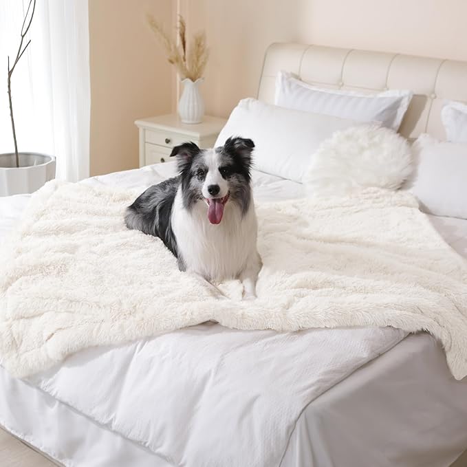 gogobunny Waterproof Dog Blanket for Couch & Furniture Protection - Super Soft Reversible Throw for Large Dogs & Cats, Calming Washable Fur & Sherpa Pet Blanket (60x80 Inch, Cream)
