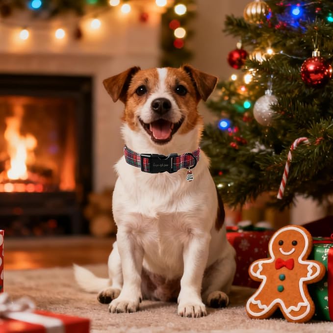 Christmas Dog Collar, Unique Style Paws Red Green Grids Dog Collar for Christmas Comfortable Red Pet Collar with Lightweight Plastic Buckle for Holiday, Fancy Dog Gift