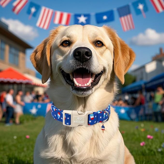 4th of July Dog Collar, Summer Popsicle Patriotic Dog Collars for Small Dogs, Adjustable Lightweight Quick-Release Buckle Collar for Boy&Girl Dogs S