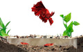 Shrimp Breeding Protector | Shrimp Breeding Cave Aquarium Tunnel | CTWPets (White)