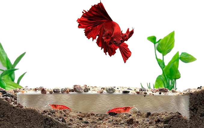 Shrimp Breeding Protector | Shrimp Breeding Cave Aquarium Tunnel | CTWPets (White)