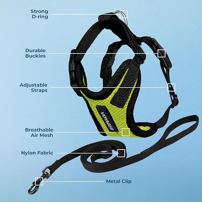 Voyager Escape-Proof Step-in Lock Cat Harness & 5ft Neoprene-Handle Leash Set All-Weather Mesh with Reflective Stitching for Small to Large Cats by Best Pet Supplies, Lime Green/Black Trim, XS