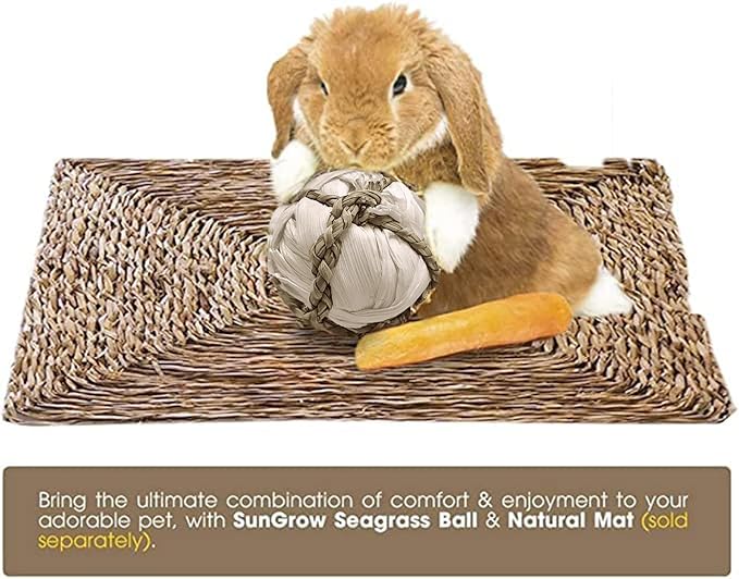 SunGrow Assorted Rabbit & Cat Chew Balls, Teething Activity Toy for Pocket Pets, Improves Dental Health, Environment Friendly, Stress Reliever (Corn Leaf, 6 Pcs)