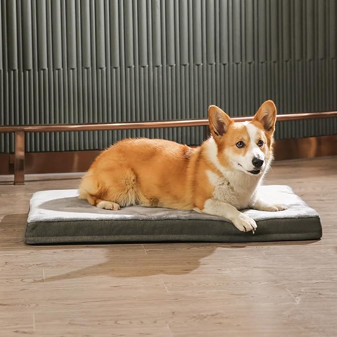 Amazon Basics Dog Bed with Cooling Gel Memory Foam, Machine Washable Removable Cover, Anti-Slip Bottom, Pressure-Relief Support for Dogs up to 90lbs, Extra Large (41" x 29"), Grey