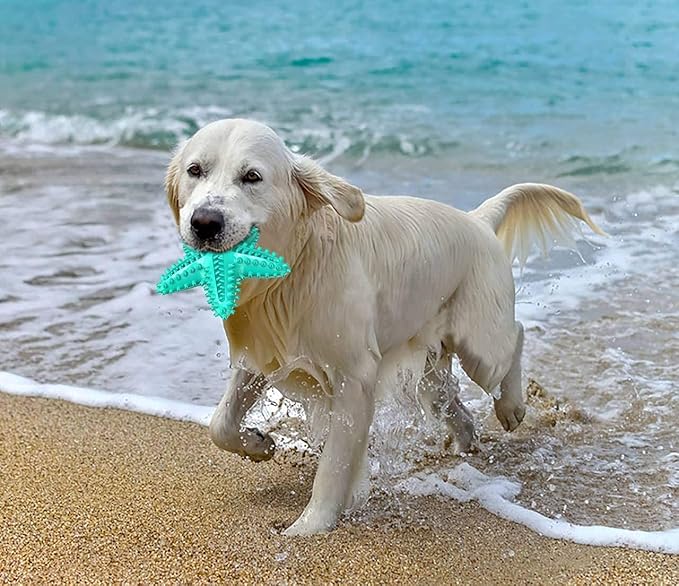 Carllg Dog Toys for Aggressive Chewers, Dog Teething Cleaning Toothbrush Toy, Durable Squeaky Interactive Starfish Puppy Toys for Small Medium Large Breed
