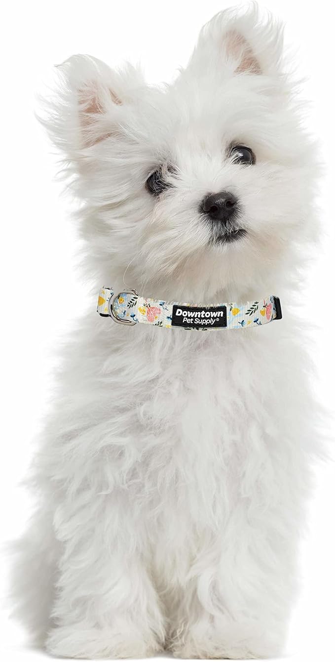 Downtown Pet Supply - Best & Fancy Dog Collar - Lightweight Adjustable with Quick Buckle & D-Ring - Hand Wash Safe - Floral - Medium