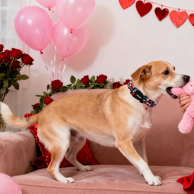 DOGWONG Red Heart Dog Collar, Cute Valentine Collar, Valentine's Day Dog Collar with Strong Plastic Buckle for Small Medium Large Dogs,M