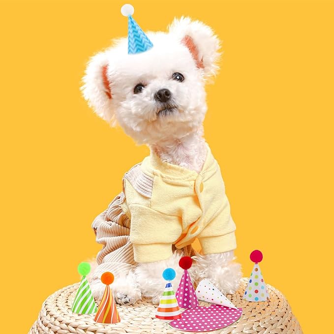 10 PCS Colorful Mini Party Hats for Stuffed Animals Lovely Paper Cone Tiny Birthday Hats for Stuffed Animals Pets Baby, Accessories