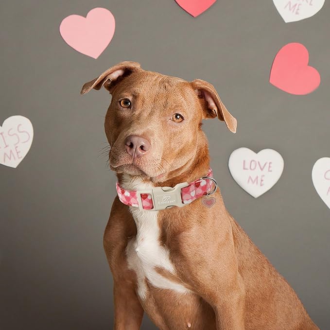 Valentines Dog Collar for Small Dogs - Cute Valentine Pink Hearts Girl Dog Collars, Adjustable Girly Puppy Collar with Quick Release Buckle for Female Dogs S