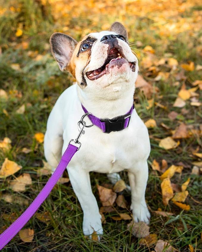 Reflective Dog Collar with Buckle Adjustable Safety Nylon Collars for Small Medium Large Dogs, Purple L