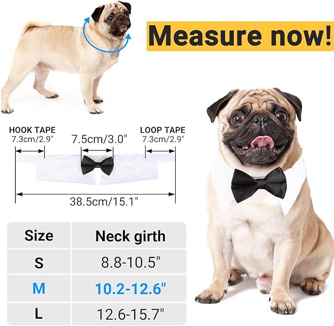 Segarty Black Bow Tie Dog Collar for Neck Girths 10.2-12.6 in, Tux Bowtie with Handcrafted Adjustable White Collar Formal Pet Cats Puppies Necktie for Wedding Birthday Party