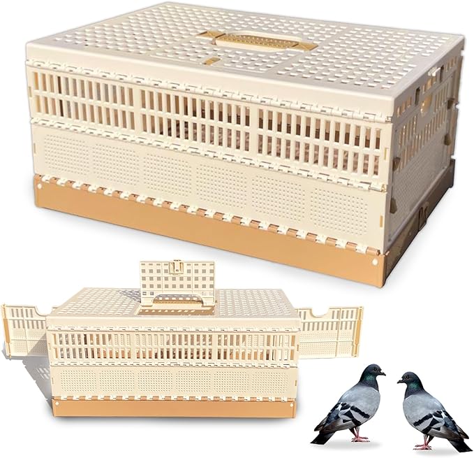 Folding Pigeon Cage Racing Pigeons Travel Cage Pairing Cage Plastic Three Doors Nest Box for Training and Release, Competition(L)