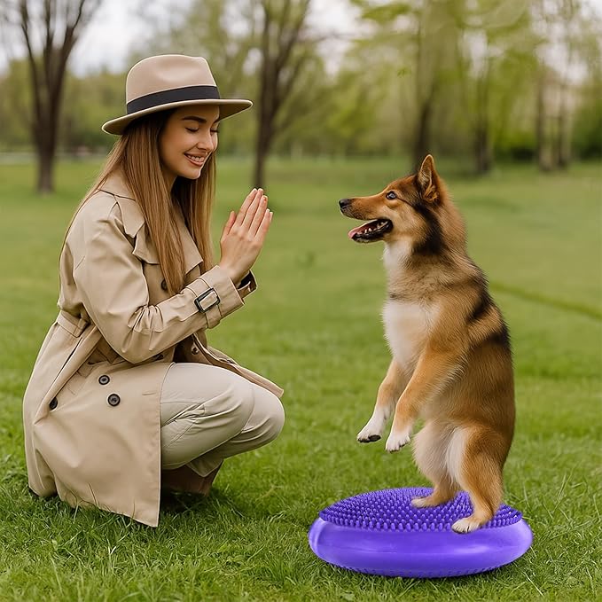 Dog Balance Disc 14", Dog Balance Equipment with Cushion and Pump, Pet Training Platform for Pet Rehabilitation Training, Strength Train Stability, Suitable for Small and Medium-Sized Pets