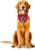 Littlearth NFL Denver Broncos Pet Bandana